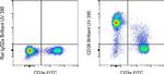 CD38 Antibody in Flow Cytometry (Flow)