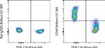 CD45 Antibody in Flow Cytometry (Flow)