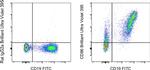 CD86 (B7-2) Antibody in Flow Cytometry (Flow)