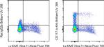 CD117 (c-Kit) Antibody in Flow Cytometry (Flow)