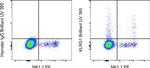 KLRG1 Antibody in Flow Cytometry (Flow)