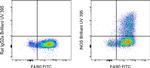 iNOS Antibody in Flow Cytometry (Flow)