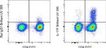 IL-17F Antibody in Flow Cytometry (Flow)