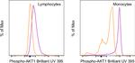 Phospho-AKT1 (Ser473) Antibody in Flow Cytometry (Flow)