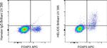 HELIOS Antibody in Flow Cytometry (Flow)