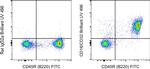 CD16/CD32 Antibody in Flow Cytometry (Flow)