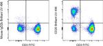 CD20 Antibody in Flow Cytometry (Flow)