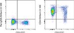 CD44 Antibody in Flow Cytometry (Flow)