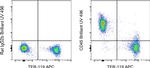 CD45 Antibody in Flow Cytometry (Flow)