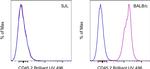 CD45.2 Antibody in Flow Cytometry (Flow)