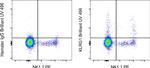 KLRG1 Antibody in Flow Cytometry (Flow)