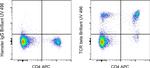 TCR beta Antibody in Flow Cytometry (Flow)