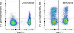 IFN gamma Antibody in Flow Cytometry (Flow)