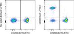 CD4 Antibody in Flow Cytometry (Flow)