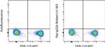 Rat IgG2b kappa Isotype Control in Flow Cytometry (Flow)