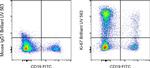 Ki-67 Antibody in Flow Cytometry (Flow)