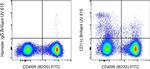 CD11c Antibody in Flow Cytometry (Flow)