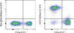 CD19 Antibody in Flow Cytometry (Flow)