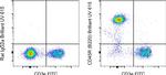 CD45R (B220) Antibody in Flow Cytometry (Flow)