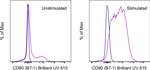 CD80 (B7-1) Antibody in Flow Cytometry (Flow)