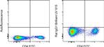 Rat IgG1 kappa Isotype Control in Flow Cytometry (Flow)