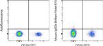 Mouse IgG2b kappa Isotype Control in Flow Cytometry (Flow)