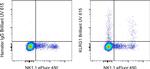 KLRG1 Antibody in Flow Cytometry (Flow)