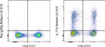 IL-17A Antibody in Flow Cytometry (Flow)