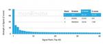 IRF3 Antibody in Peptide array (ARRAY)