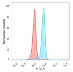 IRF3 Antibody in Flow Cytometry (Flow)