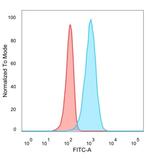 IRF3 Antibody in Flow Cytometry (Flow)