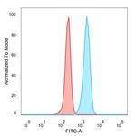 IRF3 (Transcription Factor) Antibody in Flow Cytometry (Flow)