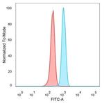 IRF3 (Transcription Factor) Antibody in Flow Cytometry (Flow)