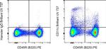 CD11c Antibody in Flow Cytometry (Flow)