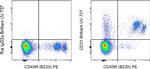 CD31 (PECAM-1) Antibody in Flow Cytometry (Flow)