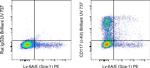 CD117 (c-Kit) Antibody in Flow Cytometry (Flow)