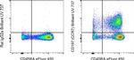 CD197 (CCR7) Antibody in Flow Cytometry (Flow)