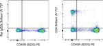 Rat IgG2b kappa Isotype Control in Flow Cytometry (Flow)