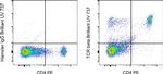 TCR beta Antibody in Flow Cytometry (Flow)