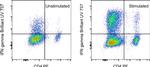 IFN gamma Antibody in Flow Cytometry (Flow)