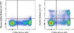 KLRG1 Antibody in Flow Cytometry (Flow)