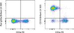 CD19 Antibody in Flow Cytometry (Flow)