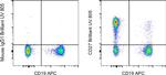 CD27 Antibody in Flow Cytometry (Flow)