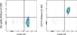 CD141 Antibody in Flow Cytometry (Flow)