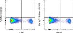 Rat IgG1 kappa Isotype Control in Flow Cytometry (Flow)