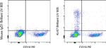 Ki-67 Antibody in Flow Cytometry (Flow)