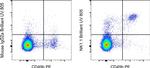 NK1.1 Antibody in Flow Cytometry (Flow)