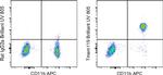 Tmem119 Antibody in Flow Cytometry (Flow)