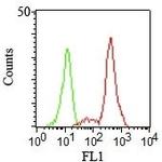 CD11c (Dendritic Cell Marker) Antibody in Flow Cytometry (Flow)