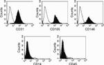 CD31 Antibody in Flow Cytometry (Flow)